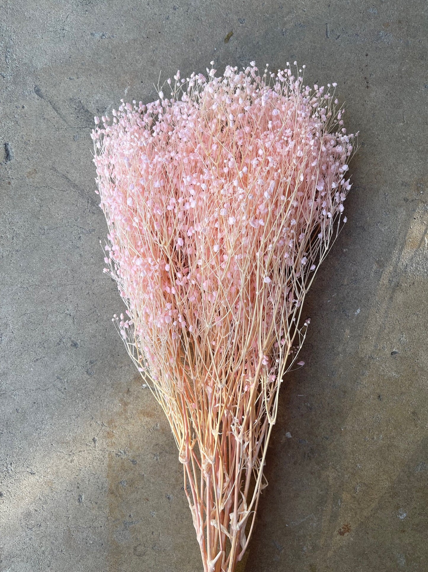 Light Pink Preserved Baby's Breath