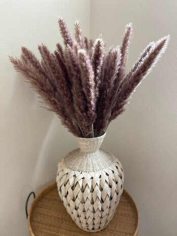 X-Large Thin 2.5 FT Natural Pampas Grass- Limited Edition - alternate