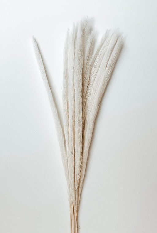 White/Ivory Monkey Tails Preserved - alternate