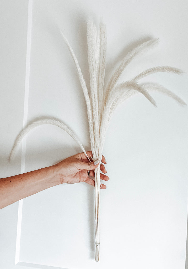 White/Ivory Monkey Tails Preserved