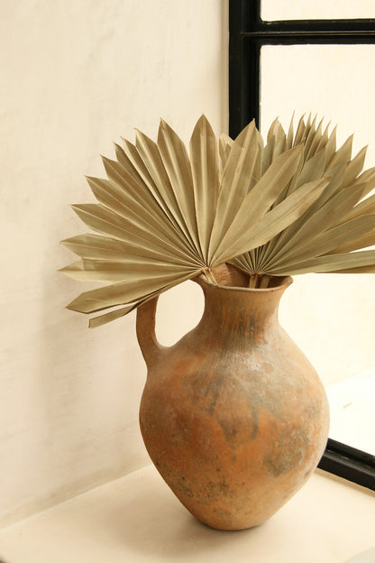 Dried Sun Palm - Natural