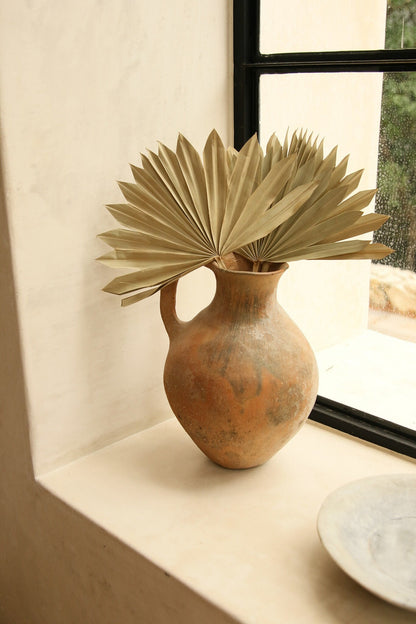 Dried Sun Palm - Natural
