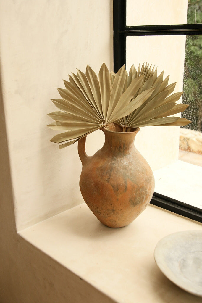 Dried Sun Palm - Natural