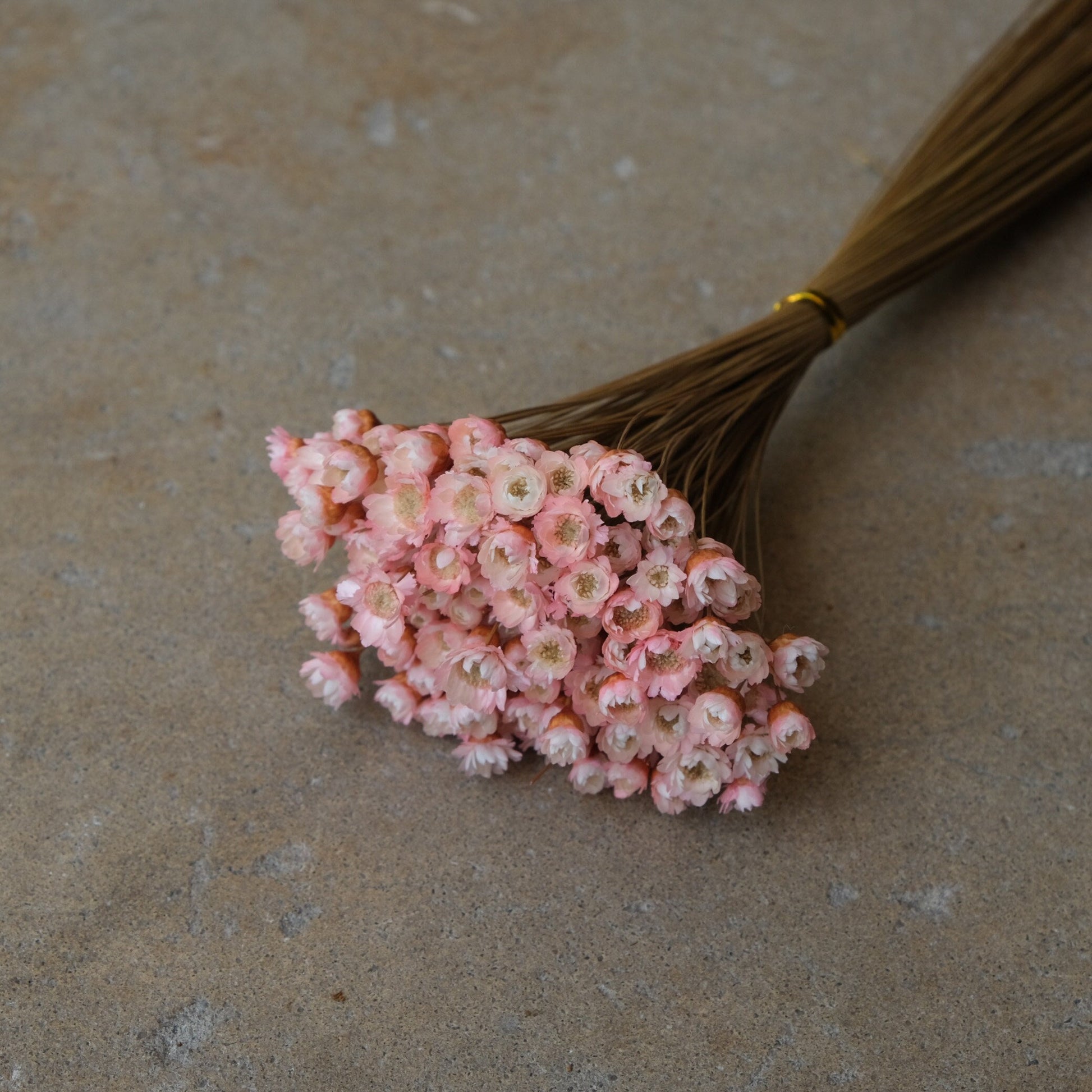 Mini Star Flowers - Pink/White