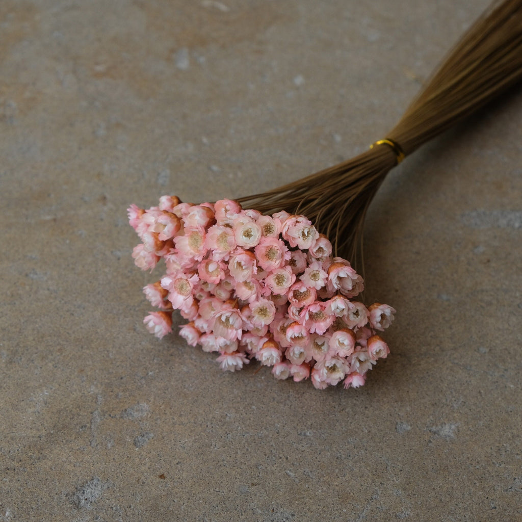 Mini Star Flowers - Pink/White