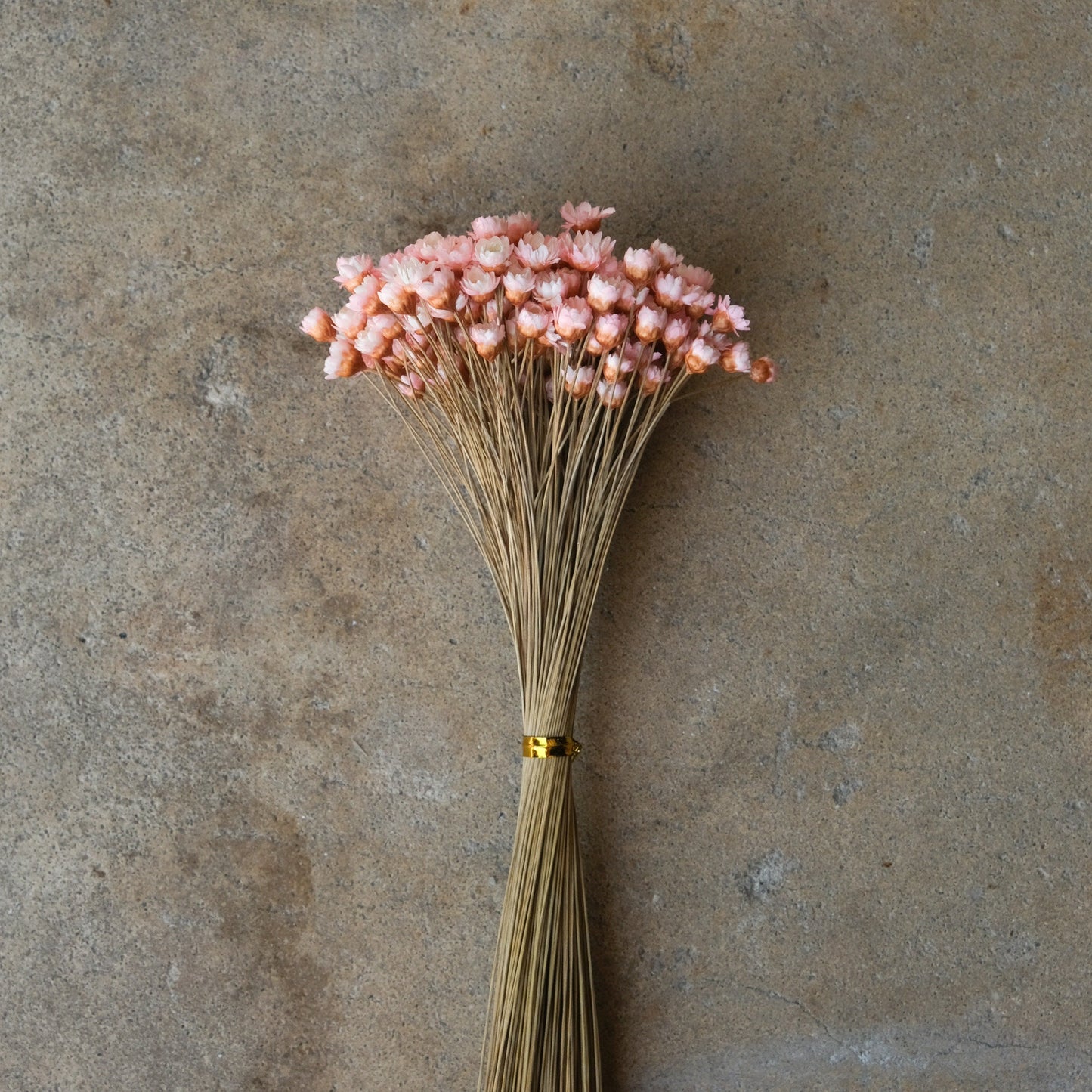 Mini Star Flowers - Pink/White