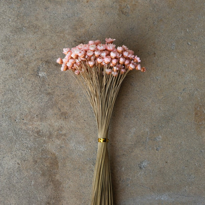Mini Star Flowers - Pink/White