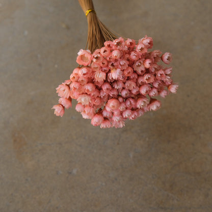 Mini Star Flowers - Pink