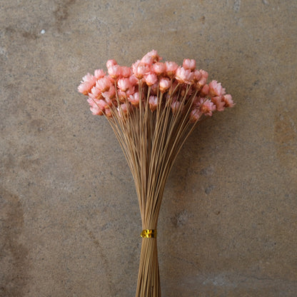 Mini Star Flowers - Pink