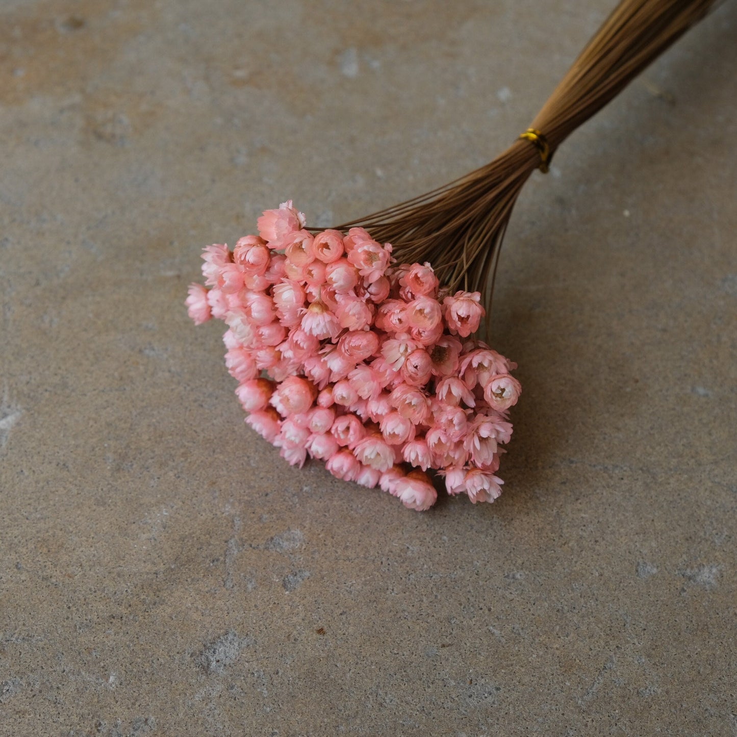 Mini Star Flowers - Pink