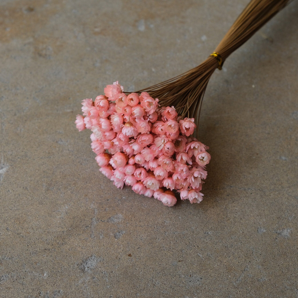 Mini Star Flowers - Pink