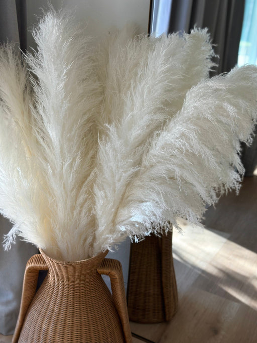 Large 4 FT White/Ivory Fluffy Pampas Grass - alternate