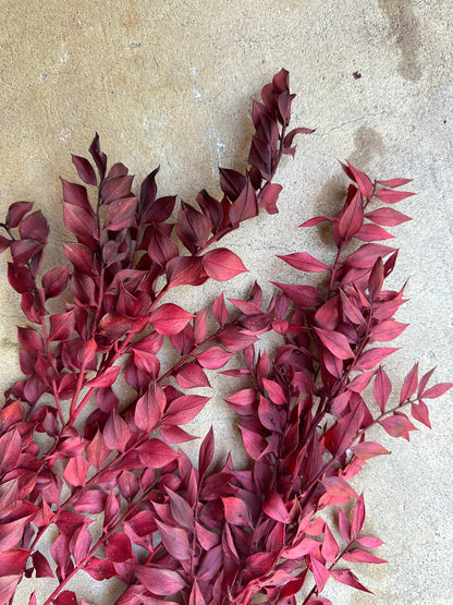 Dried and Preserved Berry Wine Ruscus