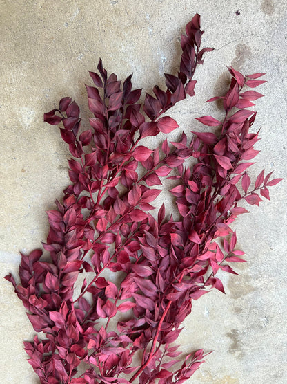 Dried and Preserved Berry Wine Ruscus