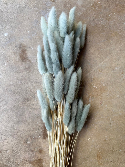 Bunny Tails - Dusty Teal/Blue - alternate