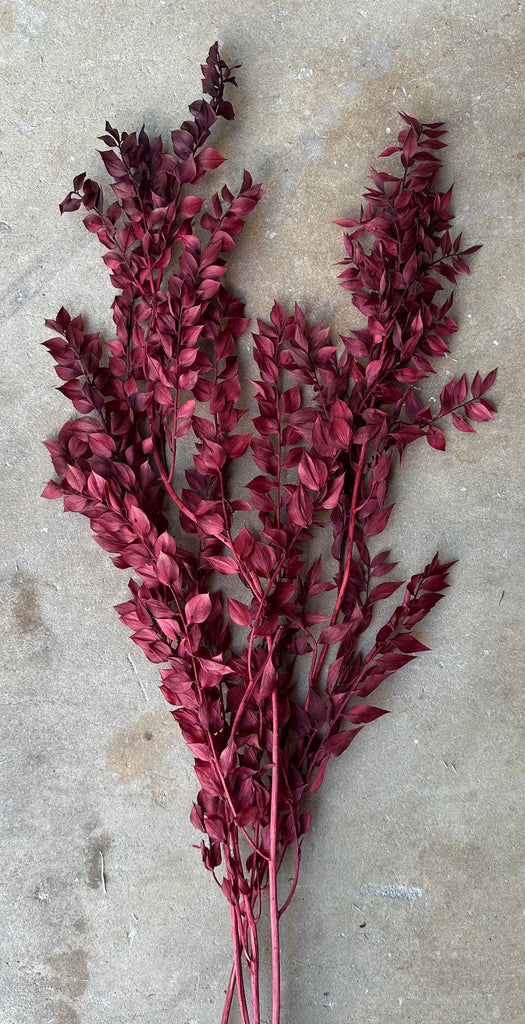 Dried and Preserved Berry Wine Ruscus