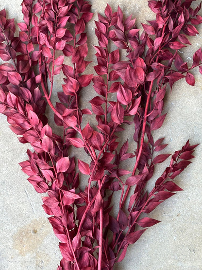 Dried and Preserved Berry Wine Ruscus