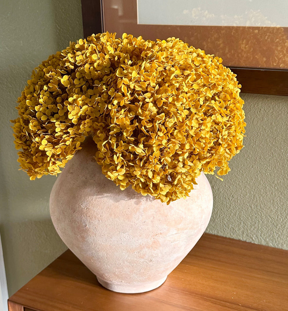 Real Hydrangea Preserved- Large Mustard Gold
