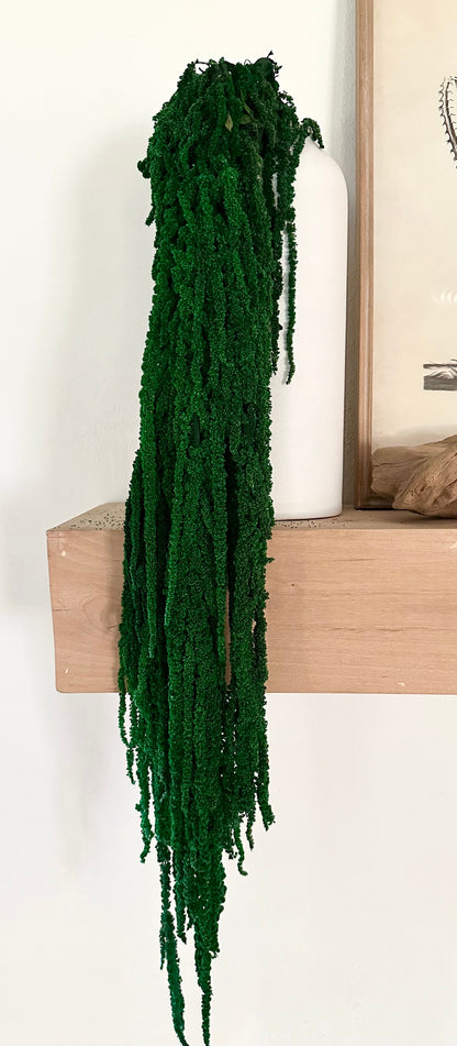 Hanging Amaranthus - Bright Green