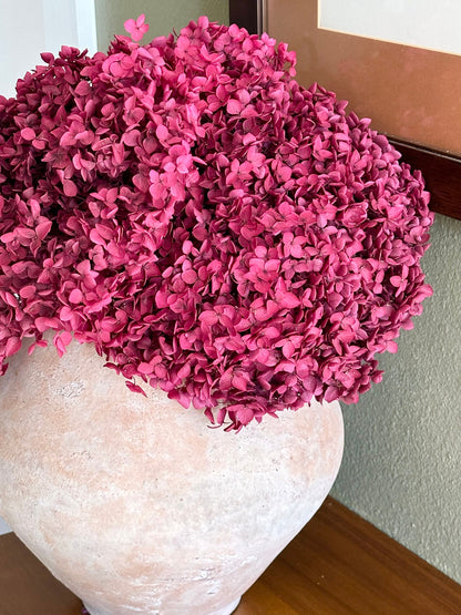 Real Hydrangea Preserved- Large Magenta Berry
