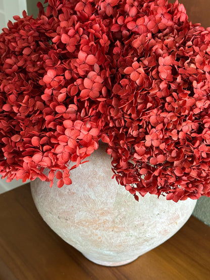 Real Hydrangea Preserved- Large Red