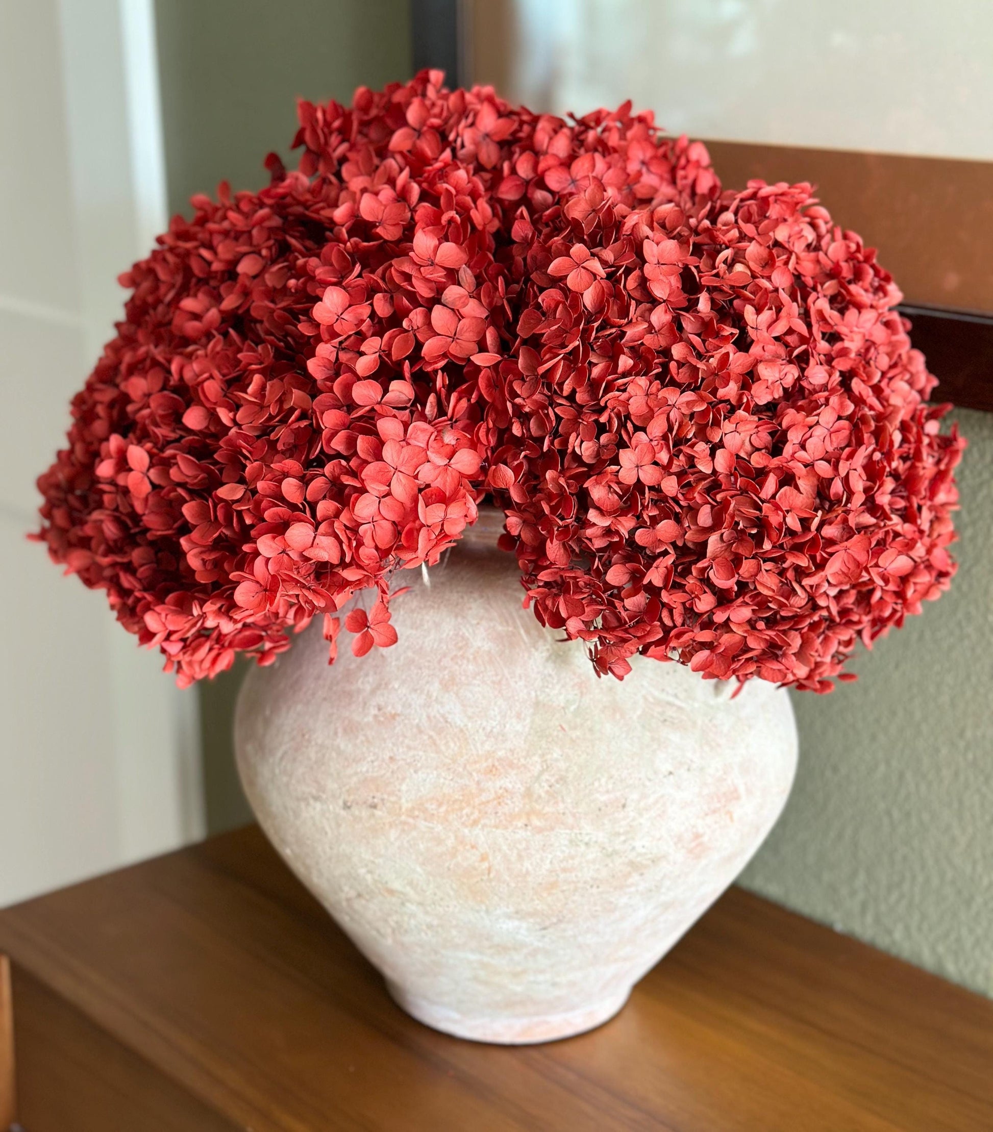Real Hydrangea Preserved- Large Red