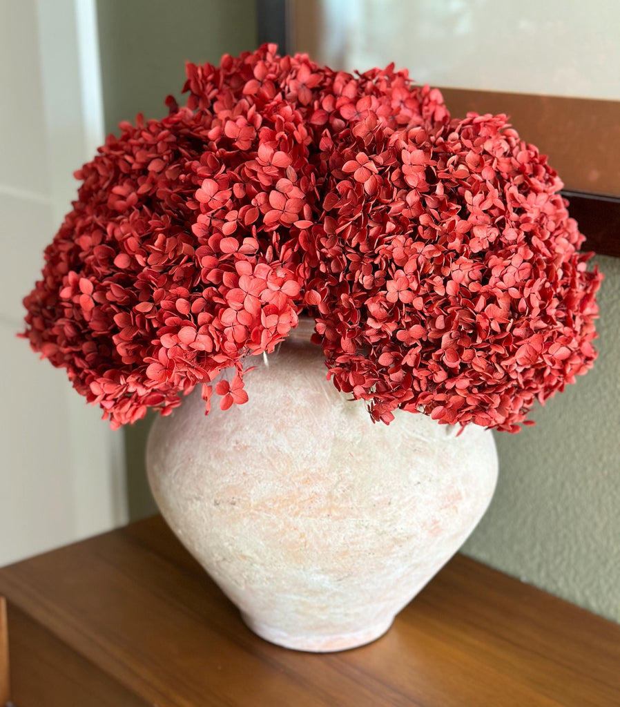 Real Hydrangea Preserved- Large Red