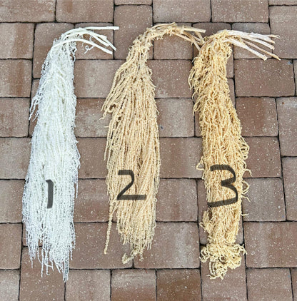 Hanging Amaranthus - White