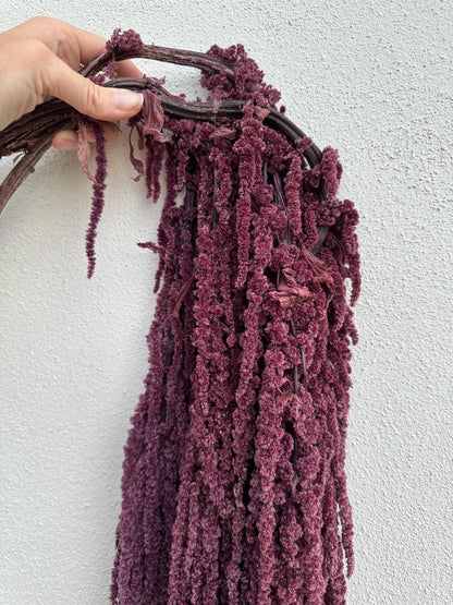Hanging Amaranthus - Plum