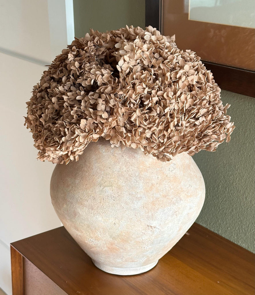 Real Hydrangea Preserved- Large Desert Brown