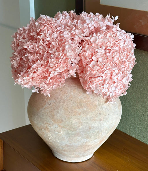 Real Hydrangea Preserved - Large Pink - alternate