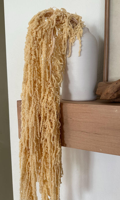 Hanging Amaranthus - Baby Yellow