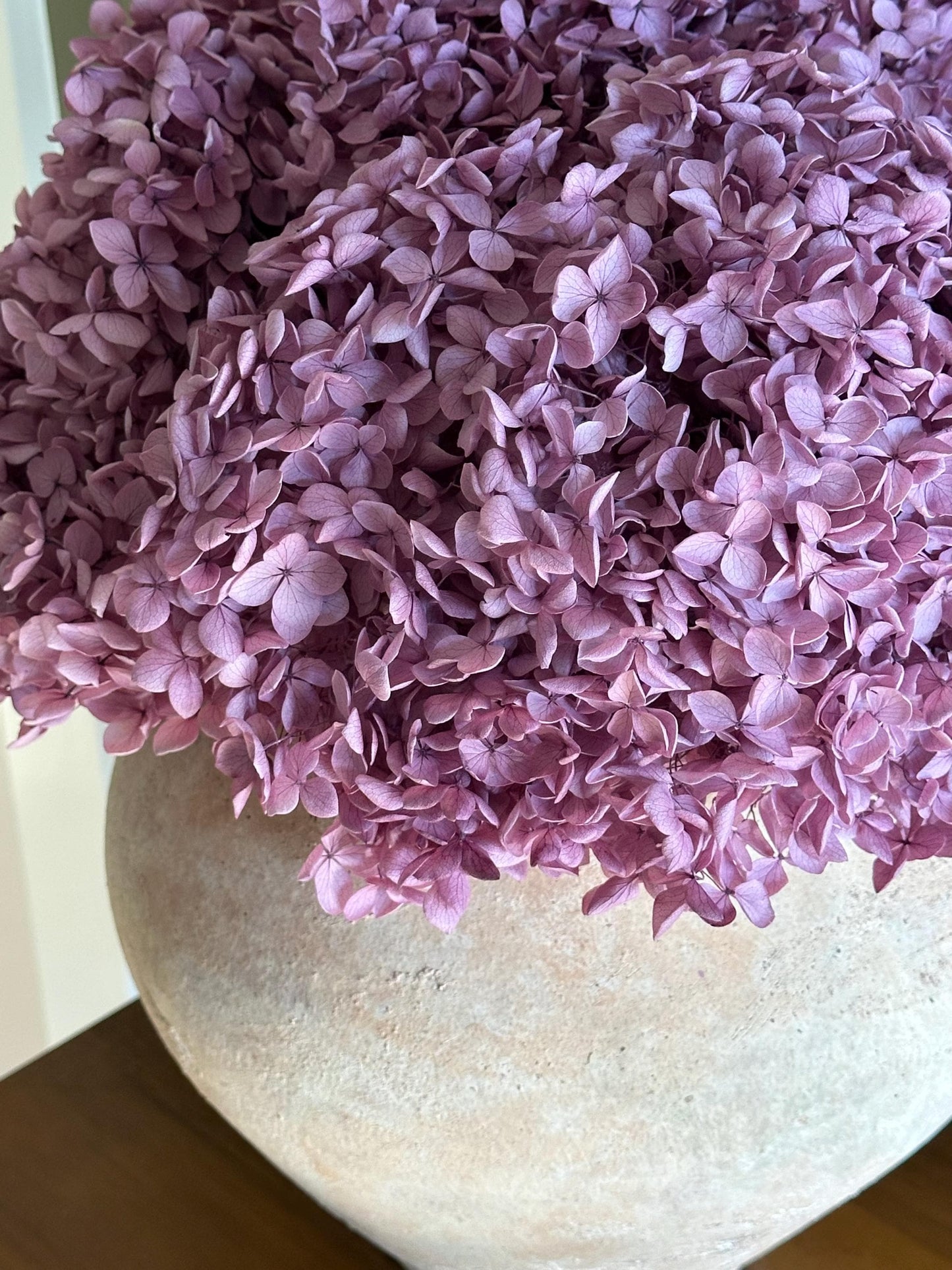 Real Hydrangea Preserved- Large Purple Magenta