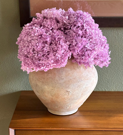 Real Hydrangea Preserved- Large Pink Magenta