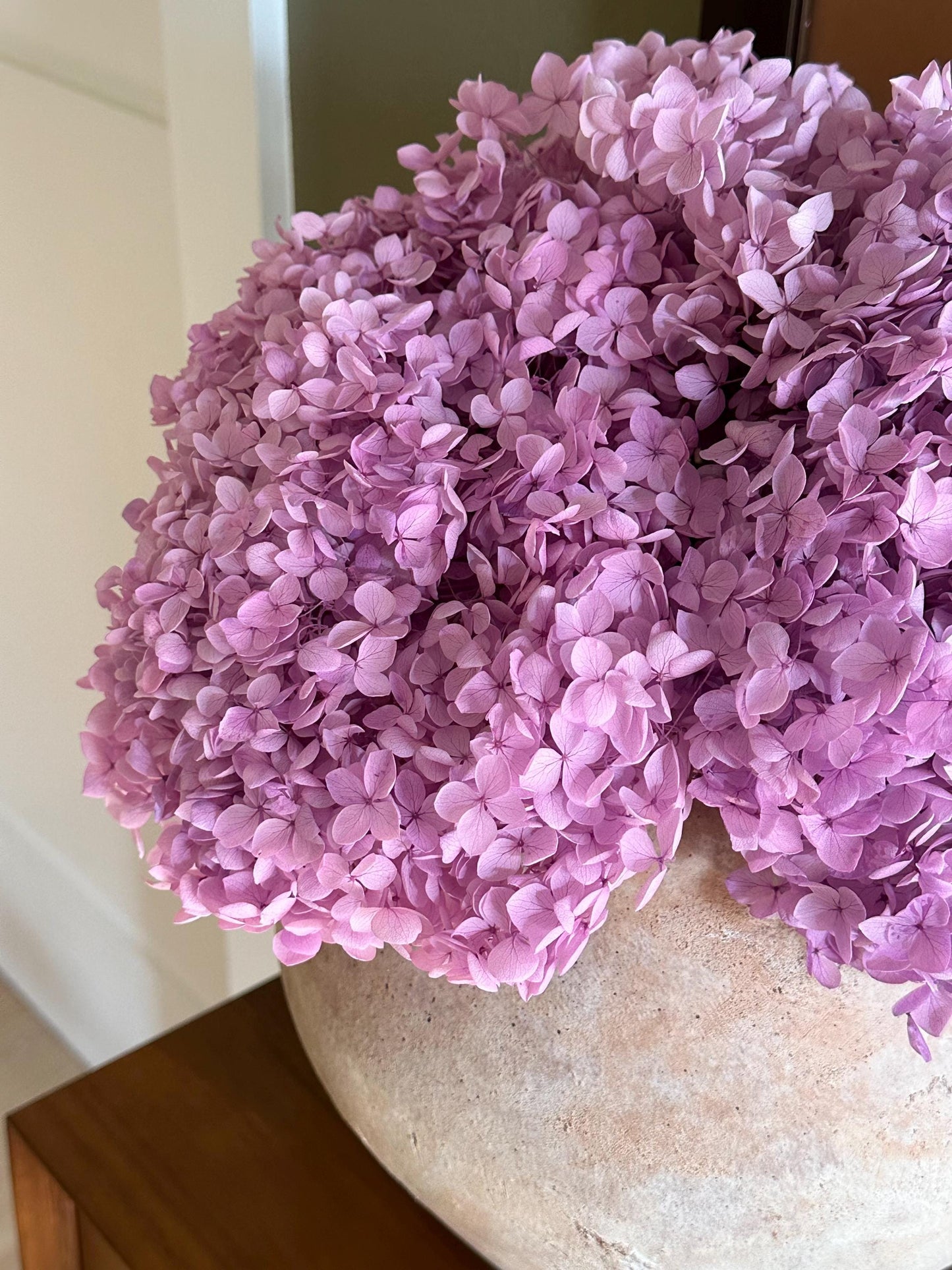 Real Hydrangea Preserved- Large Pink Magenta