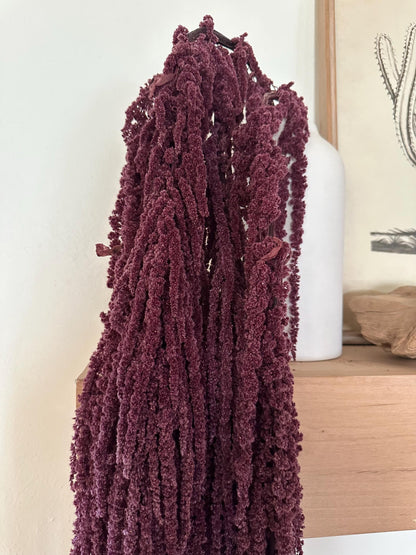 Hanging Amaranthus - Plum