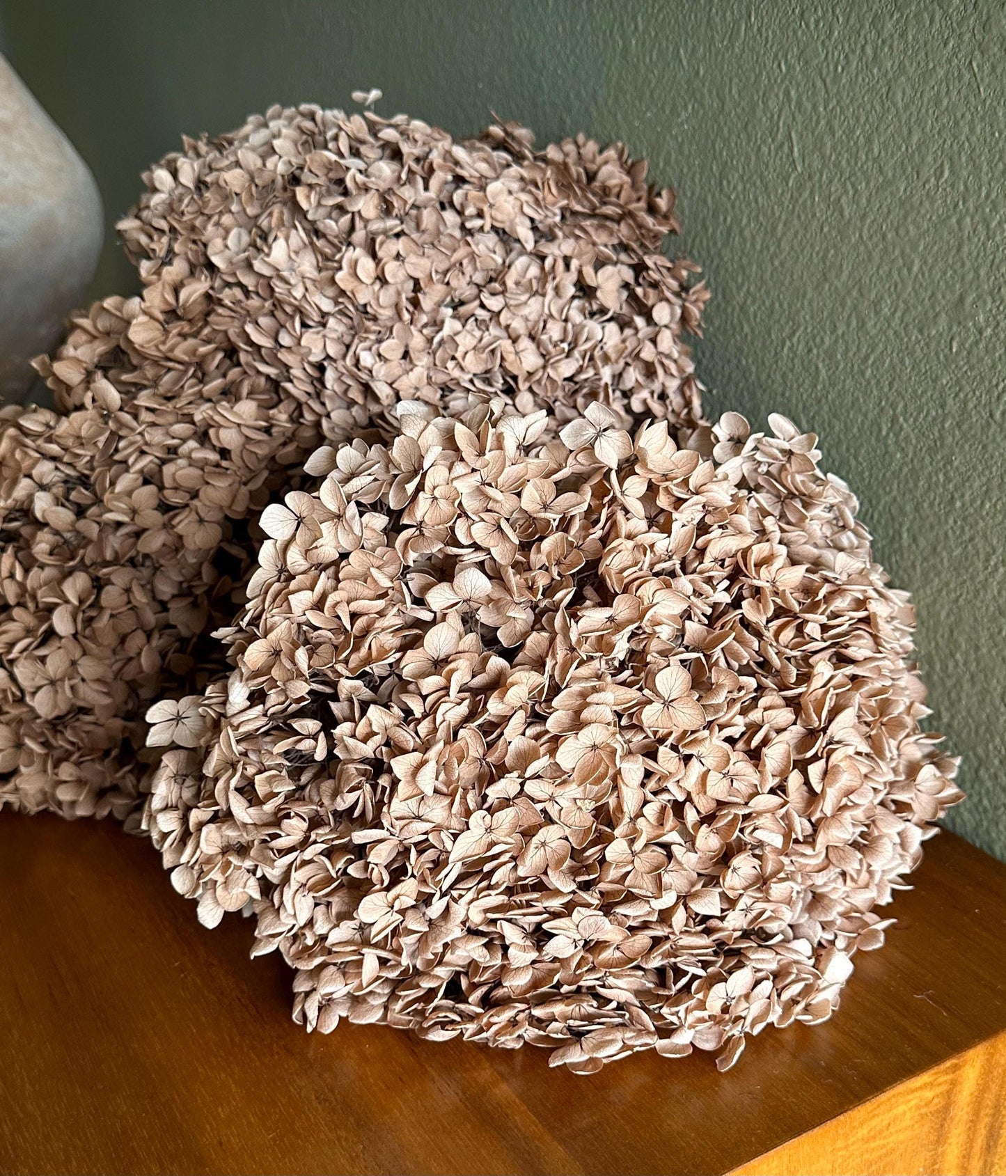 Real Hydrangea Preserved- Large Desert Brown