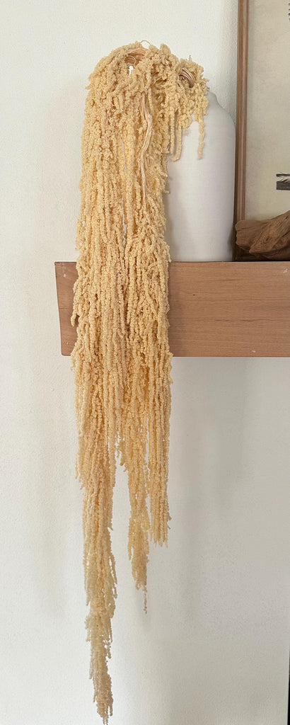 Hanging Amaranthus - Baby Yellow