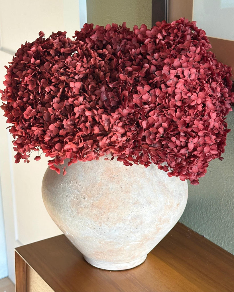 Real Hydrangea Preserved- Large Deep Red