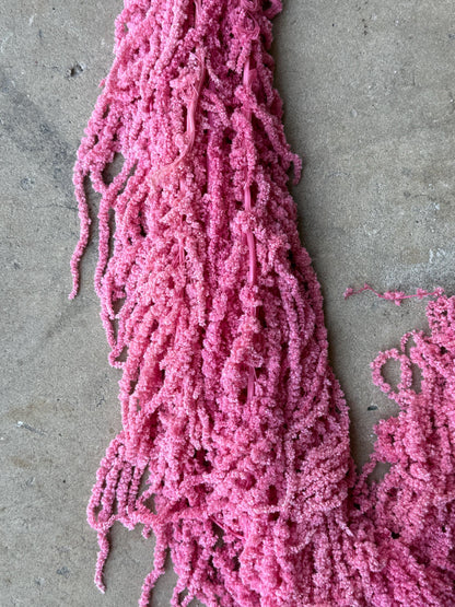 Hanging Amaranthus - Pink
