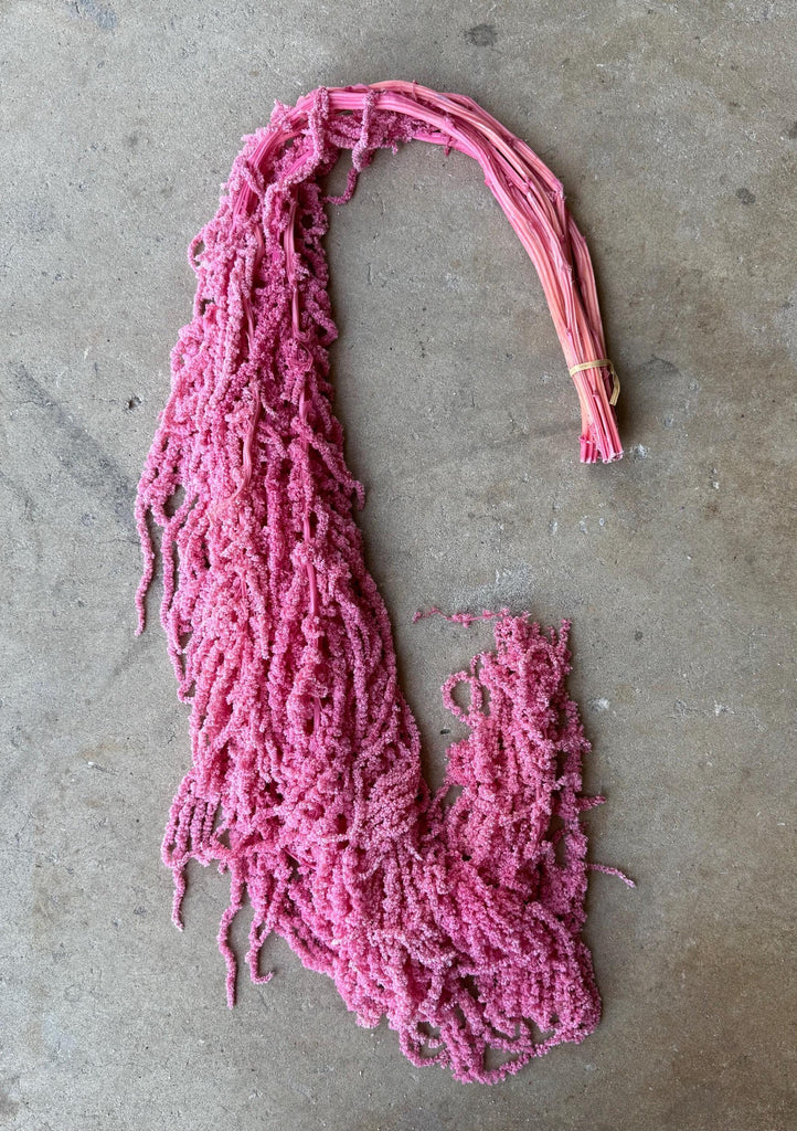 Hanging Amaranthus - Pink