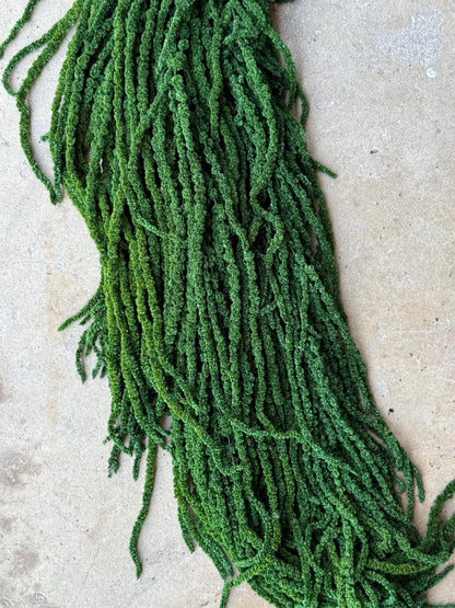 Hanging Amaranthus - Emerald Forest Green