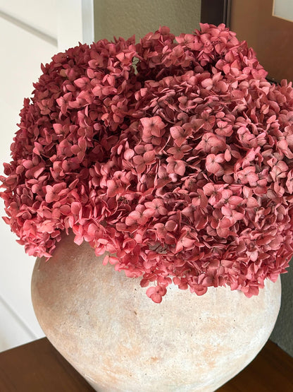 Real Hydrangea Preserved- Large Rose