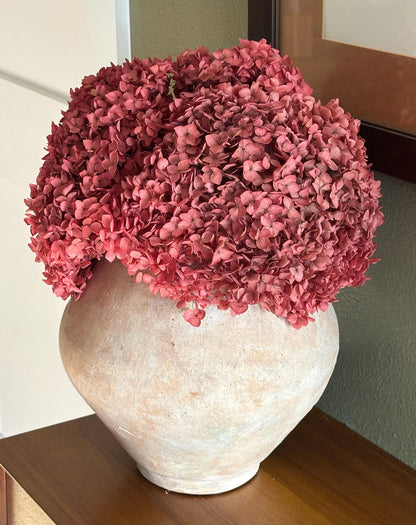 Real Hydrangea Preserved- Large Rose