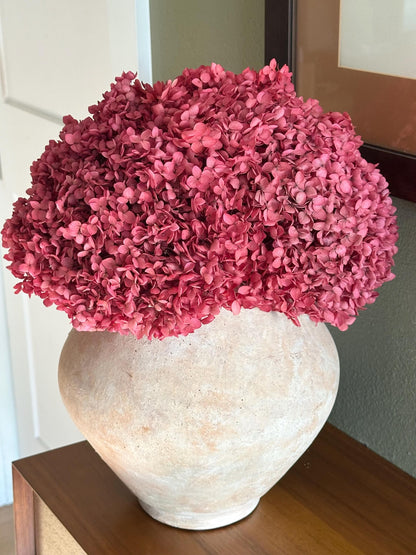 Real Hydrangea Preserved- Large Fuchsia Rose
