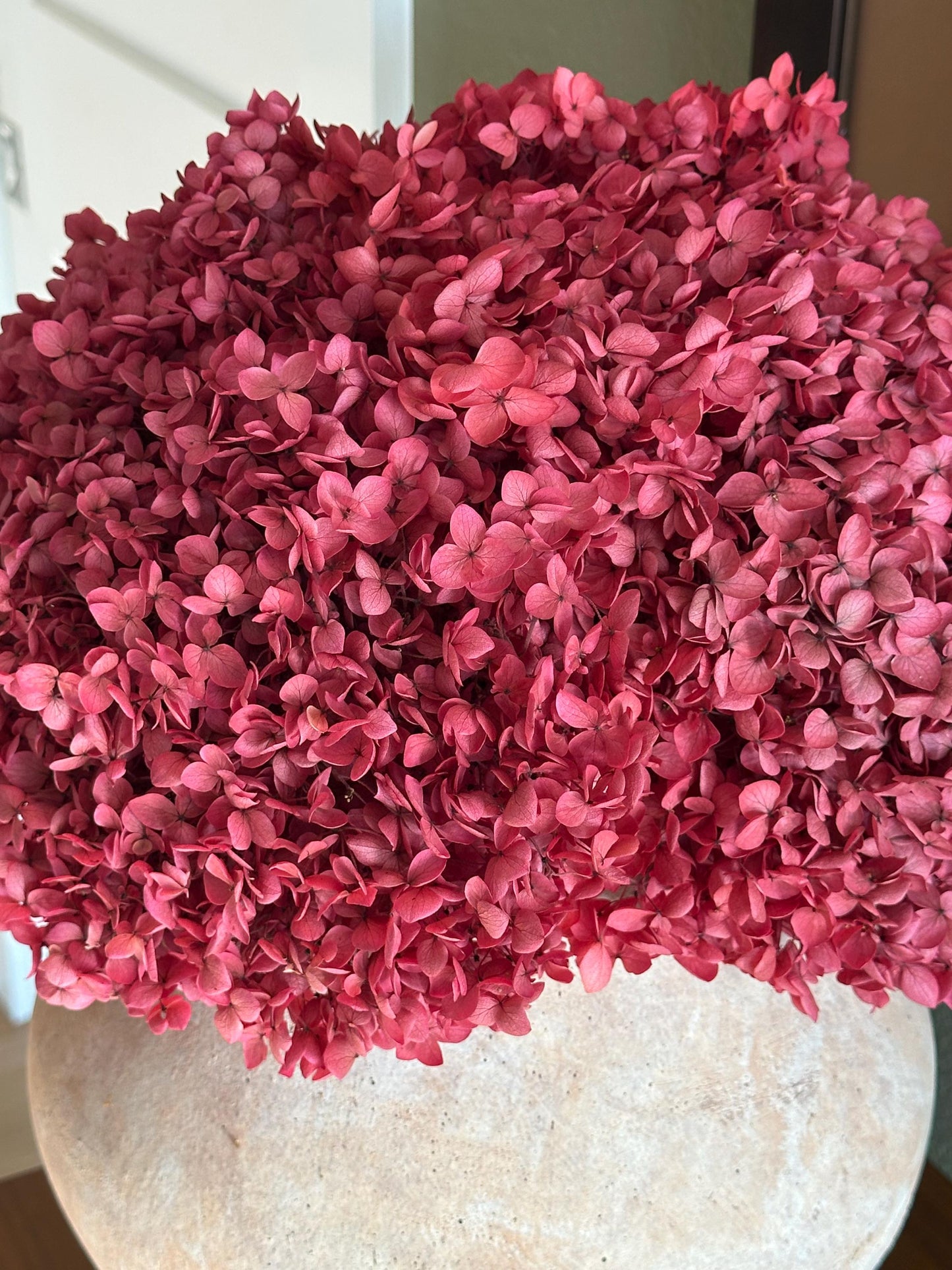 Real Hydrangea Preserved- Large Fuchsia Rose