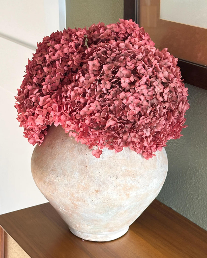 Real Hydrangea Preserved- Large Rose