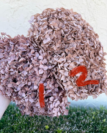 Real Hydrangea Preserved- Large Desert Brown