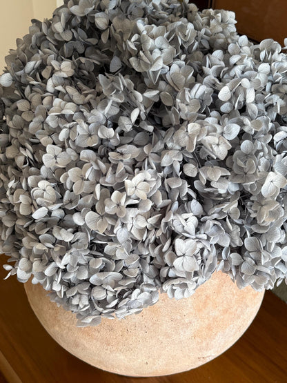 Real Hydrangea Preserved- Large Light Dusty Blue
