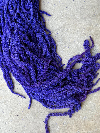 Hanging Amaranthus - Purple Tanzanite
